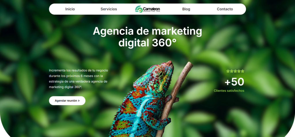Web Camaleon Marketing